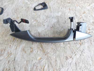 Mercedes Exterior Door Handle Keyless Go, Rear Right A2217600670 07-13 S550 S Class4